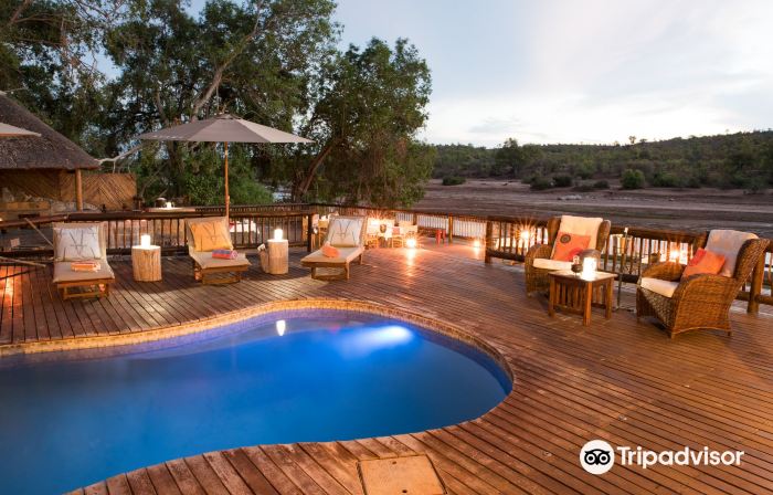 Sefapane Lodge and Safaris