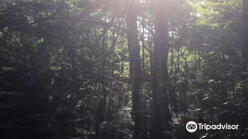 こんぶくろ池自然博物公園