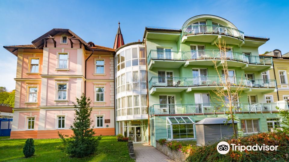 Hotel Spa Hévíz