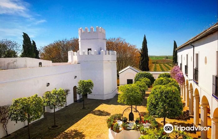 Hotel Cortijo Torre de la Reina