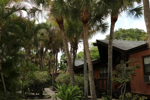 Kona Kai