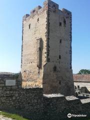 Kinizsi Castle