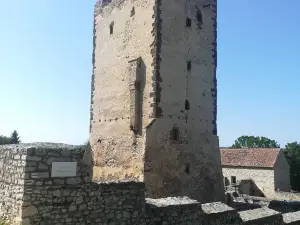 Kinizsi Castle