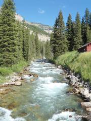 Granite Hot Springs Pool