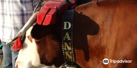 阿卡迪亞博物館