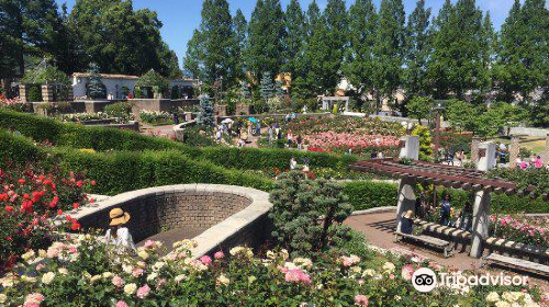 Aramaki Rose Park