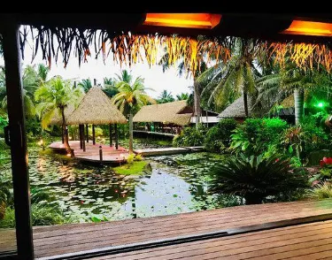 Over-Water Night Show & Dinner