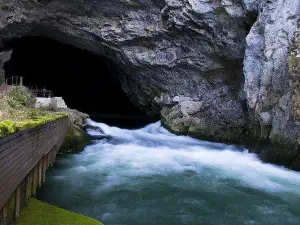 Planina Cave