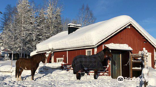 Santa's Pet Farm & Cottage