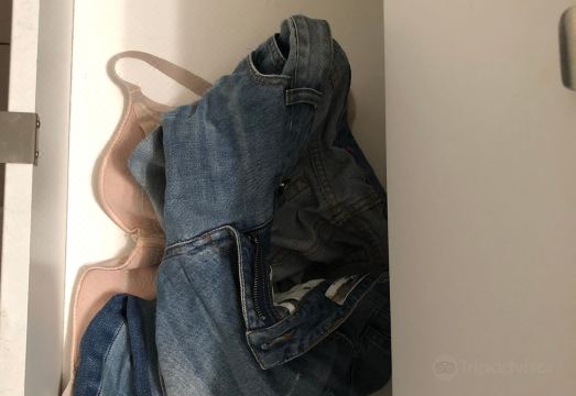 Hotel Windsor Suites & Convention Hotel Overview