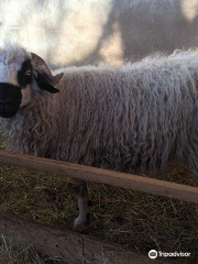 La Ferme des Cabrioles