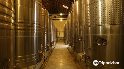 Bodegas Escorihuela Gascon