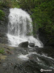 Pattathipara Waterfall