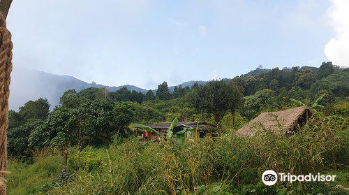 Adam Tribe Organic Farm