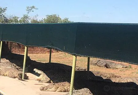 Thaba Kwena Crocodile Farm