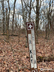 Springer Mountain