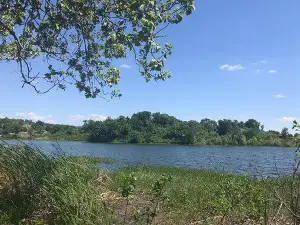 Veteran's Lake