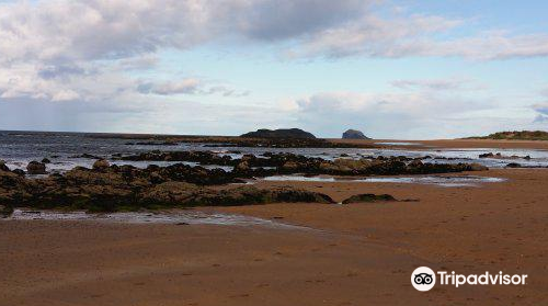 Yellowcraig Beach