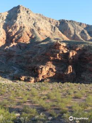 The Virgin River Canyon Recreation Area