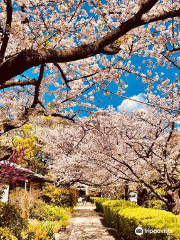 Najima Castle Ruins Park