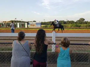 FanDuel Sportsbook and Horse Racing