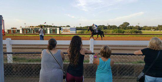 FanDuel Sportsbook and Horse Racing