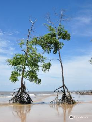 Barra Velha Beach