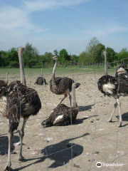 Straussenfarm Gemarkenhof