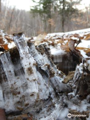 Parc des Montagnes Noires de Ripon