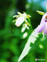 Botanische Tuin Kerkrade