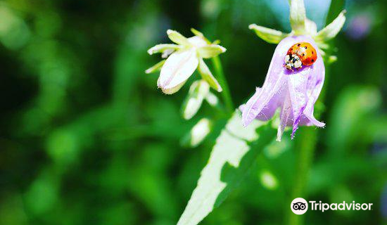 Botanische Tuin Kerkrade