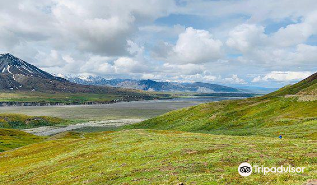 Denali Backcountry Adventure