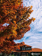 Elkins Depot Welcome Center