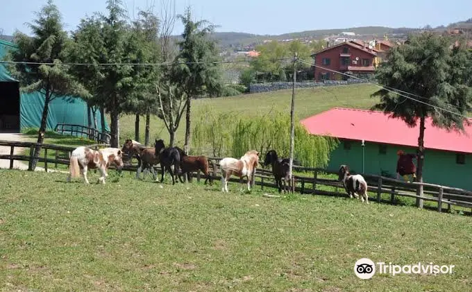 Göçmen’s Ranch