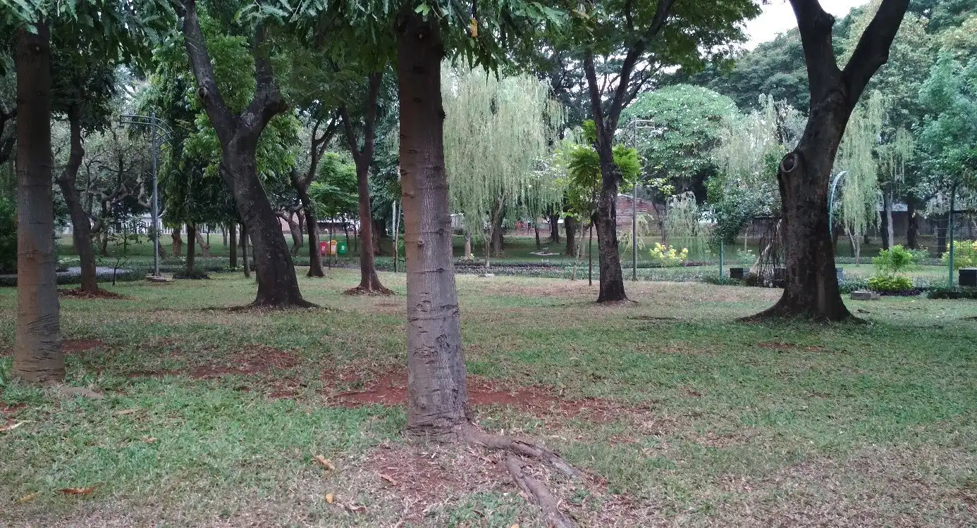 Các khách sạn gần Cattleya Park