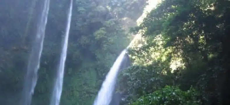 Hotels in Tomohon