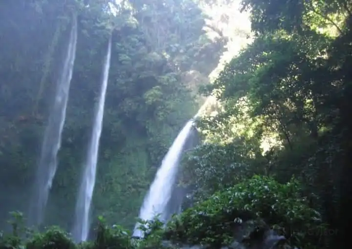 Hotels in Tomohon