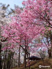 Kyozukayama Park