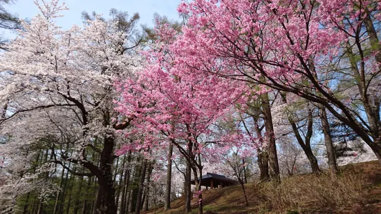 Kyozukayama Park