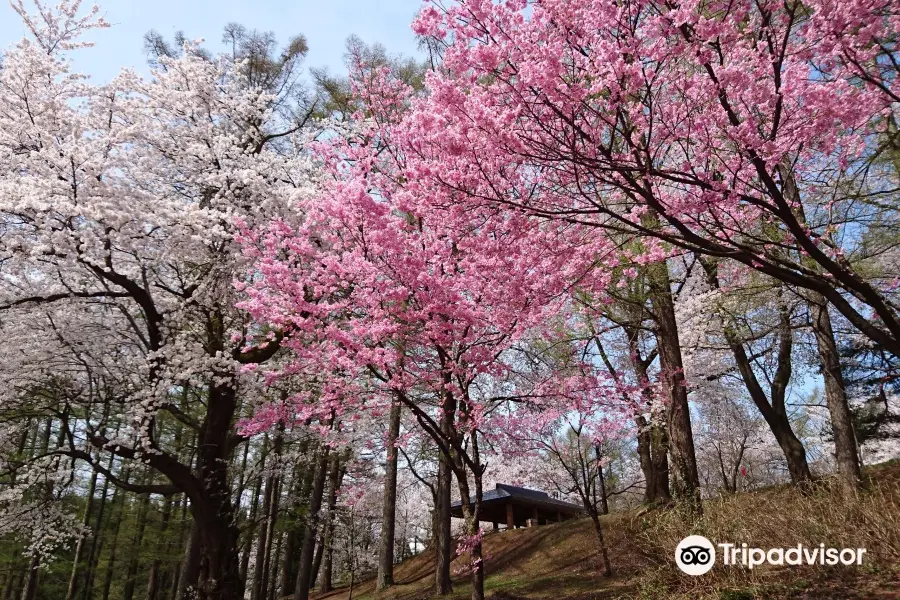 Kyozukayama Park