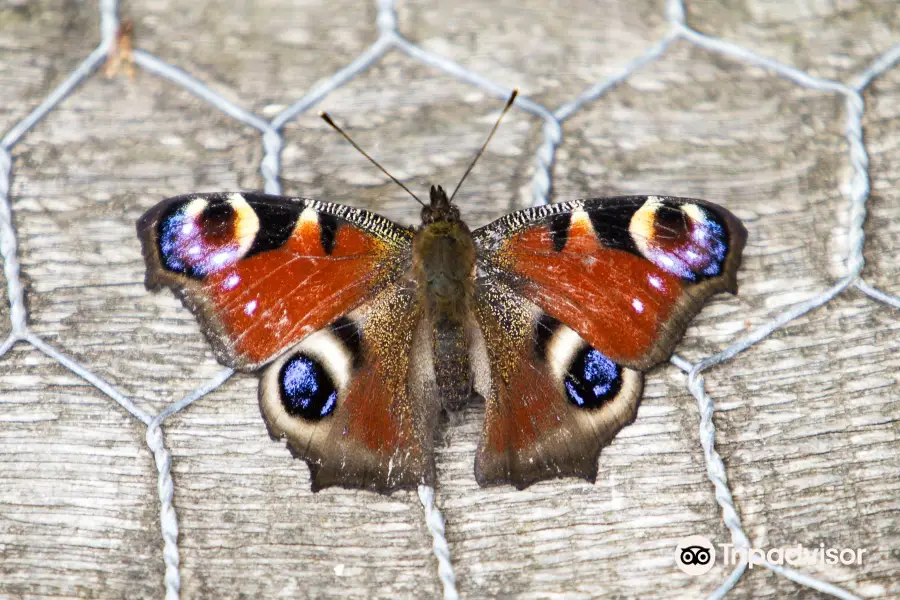 Titchfield Haven National Nature Reserve