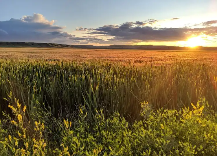 Teton County