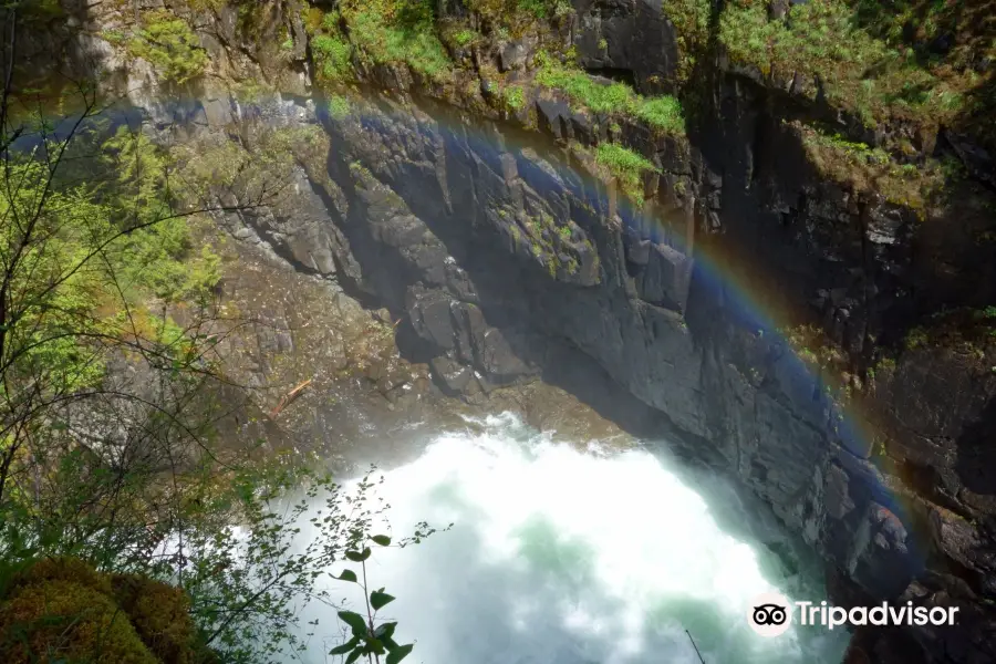 Little Qualicum Falls Provincial Park