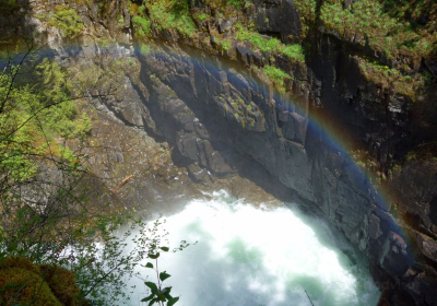 Little Qualicum Falls Provincial Park