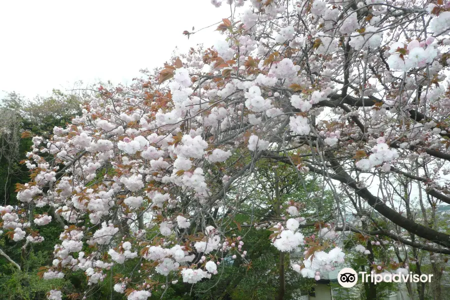 下永谷市民の森