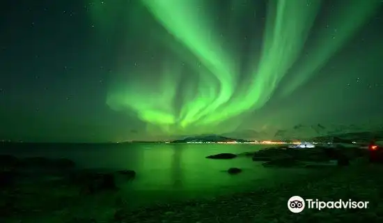 Northern Lights Tour In Tromso Norway