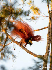 Varirata National Park