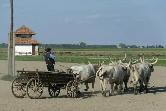 Hotel in zona Puszta Animal Park