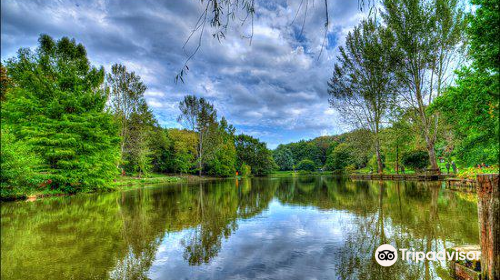 Ataturk Arboretum