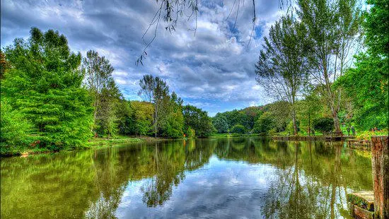 Ataturk Arboretum